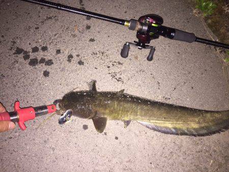 ナイトウォーカー